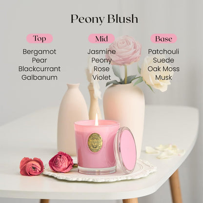 M&SENSE Peony Blush Duftkerze | 9,2 oz Sojawachs-Kerze, ungiftig, Aromatherapie für Stressabbau & Home Spa