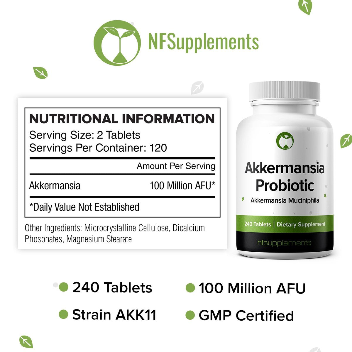 Akkermansia Muciniphila Probiotikum 240 Tabletten (4 Monate Vorrat) – 100 Millionen AFU des erforschten Stamms AKK11 – Unterstützt Verdauungsgesundheit & Darmschleimhaut – GMP-zertifiziert