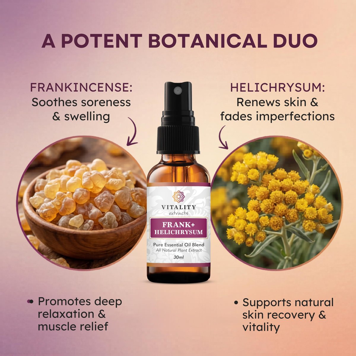 Vitality Extracts Frank+ Helichrysum Ätherisches Öl Blend - 30ml Sprühflasche, Weihrauch Boswellia Serrata, Aromatherapie, Sanfte Haut, Linderung von Alltagsbeschwerden und Schmerzen, Natürlich