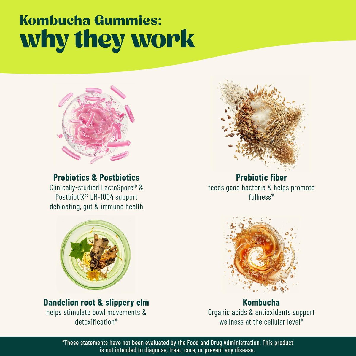 BoochBod Probiotische Kombucha Gummis – Präbiotika, Probiotika, Postbiotika, Ballaststoffe, Ulme, Löwenzahnwurzel, MCT-Öl – gegen Blähungen und für die Darmgesundheit – Probiotika für Frauen und Männer