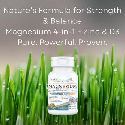 Kappa Nutrition Magnesium 4-in-1, 280 mg elementares Magnesium (Bisglycinat, Malat) + Zink & Vitamin D3, Gehirn, Schlaf, Energie, Muskeln, Immunsystem, 60 vegane Kapseln