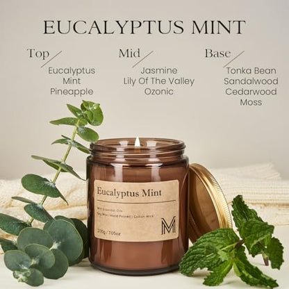 M&SENSE Eukalyptus-Minze Duftkerze Geschenk, Aromatherapie Kerzenset für Frauen, Sojawachs Kerzen langanhaltend, Bernsteinfarbenes Glas Kerze Geschenk für Weihnachten, Erntedankfest, Feiertage