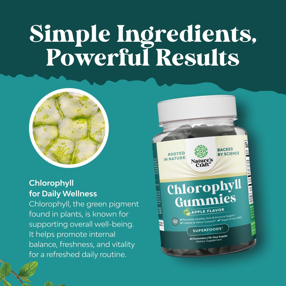 Chlorophyll Gummies für Reinigung & Entgiftung - Hochwirksamer interner Deodorant für Körpergeruch, gesunde Haut, Immunsystem & Verdauung - Vegan, Non-GMO & Glutenfrei - 60 Stück