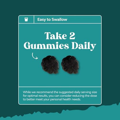 Chlorophyll Gummies für Reinigung & Entgiftung - Hochwirksamer interner Deodorant für Körpergeruch, gesunde Haut, Immunsystem & Verdauung - Vegan, Non-GMO & Glutenfrei - 60 Stück