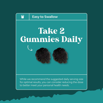 Chlorophyll Gummies für Reinigung & Entgiftung - Hochwirksamer interner Deodorant für Körpergeruch, gesunde Haut, Immunsystem & Verdauung - Vegan, Non-GMO & Glutenfrei - 60 Stück