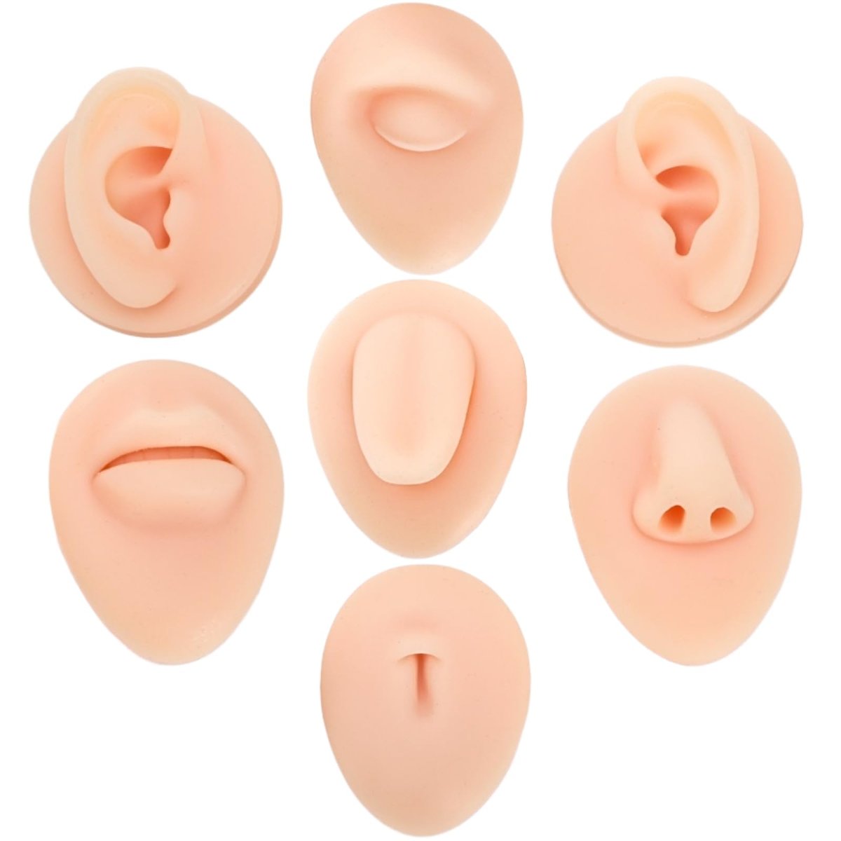 Acshio 7-teiliges Silikon-Piercing-Modell-Set – Weiche, flexible Körperteile-Displays für Anfänger