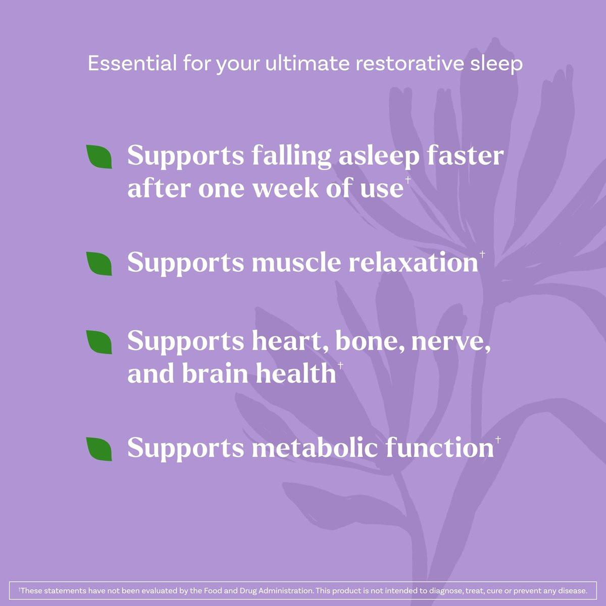 Natrol Sleep & Restore Beruhigendes Getränk mit Magnesiumglycinat - Melatoninfrei, Kirsche, 10 Stickpacks
