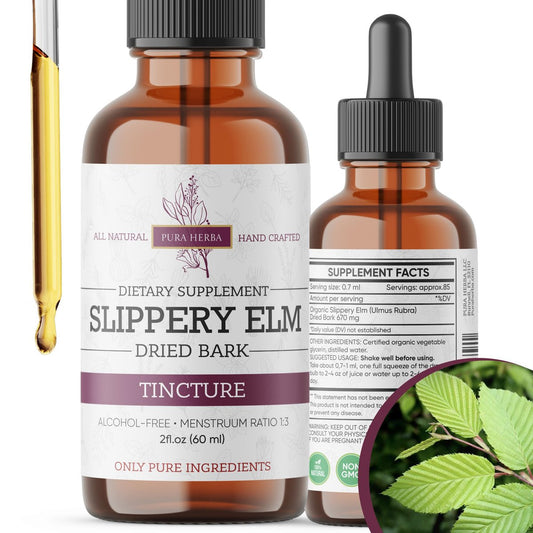 Pura Herba Ulmenrinde (Slippery Elm) Tropfen – Alkoholfrei | Ulmus Rubra Flüssigextrakt | Pflanzliche Unterstützung für Verdauung & Hals | Beruhigende Schleimstoff-Formel – 60 ml