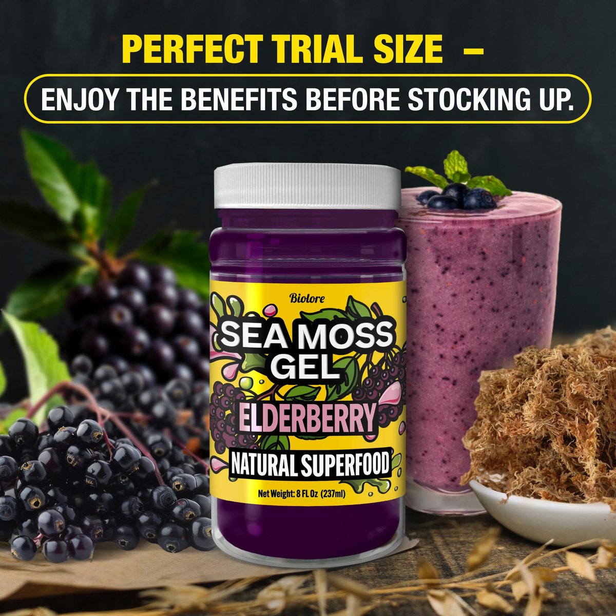 Biolore Elderberry Sea Moss Gel 8oz – Wildcrafted Seamoss, Ohne Zuckerzusatz, Vegan, Hergestellt in den USA – Elderberry Sea Moss Aufstrich & Superfood Spread