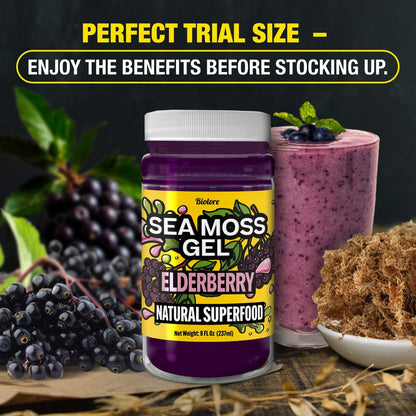Biolore Elderberry Sea Moss Gel 8oz – Wildcrafted Seamoss, Ohne Zuckerzusatz, Vegan, Hergestellt in den USA – Elderberry Sea Moss Aufstrich & Superfood Spread