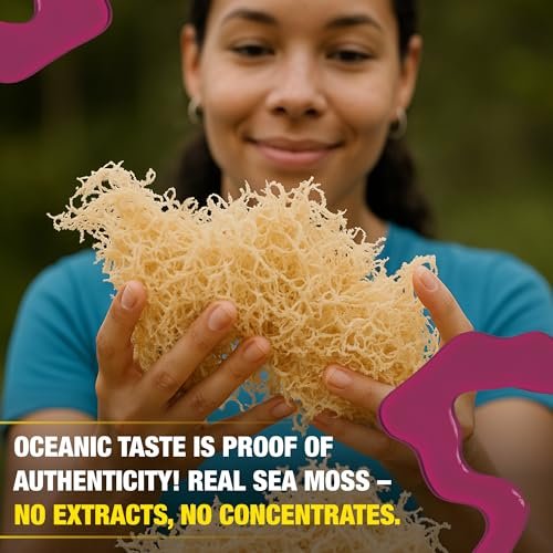 Biolore Elderberry Sea Moss Gel 8oz – Wildcrafted Seamoss, Ohne Zuckerzusatz, Vegan, Hergestellt in den USA – Elderberry Sea Moss Aufstrich & Superfood Spread