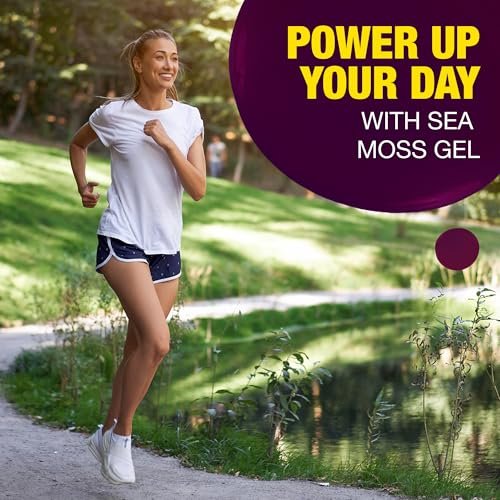 Biolore Elderberry Sea Moss Gel 8oz – Wildcrafted Seamoss, Ohne Zuckerzusatz, Vegan, Hergestellt in den USA – Elderberry Sea Moss Aufstrich & Superfood Spread