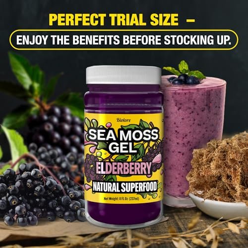 Biolore Elderberry Sea Moss Gel 8oz – Wildcrafted Seamoss, Ohne Zuckerzusatz, Vegan, Hergestellt in den USA – Elderberry Sea Moss Aufstrich & Superfood Spread