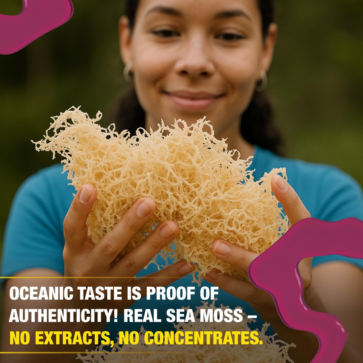 Biolore Elderberry Sea Moss Gel 8oz – Wildcrafted Seamoss, Ohne Zuckerzusatz, Vegan, Hergestellt in den USA – Elderberry Sea Moss Aufstrich & Superfood Spread