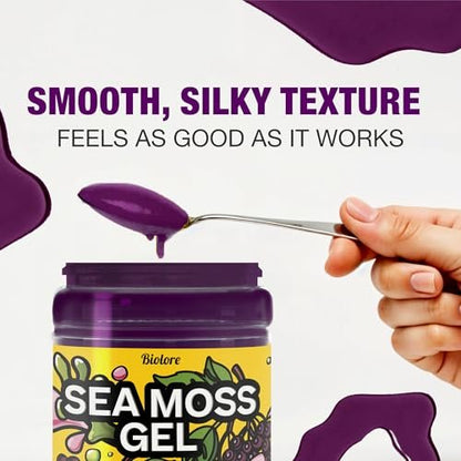 Biolore Elderberry Sea Moss Gel 8oz – Wildcrafted Seamoss, Ohne Zuckerzusatz, Vegan, Hergestellt in den USA – Elderberry Sea Moss Aufstrich & Superfood Spread
