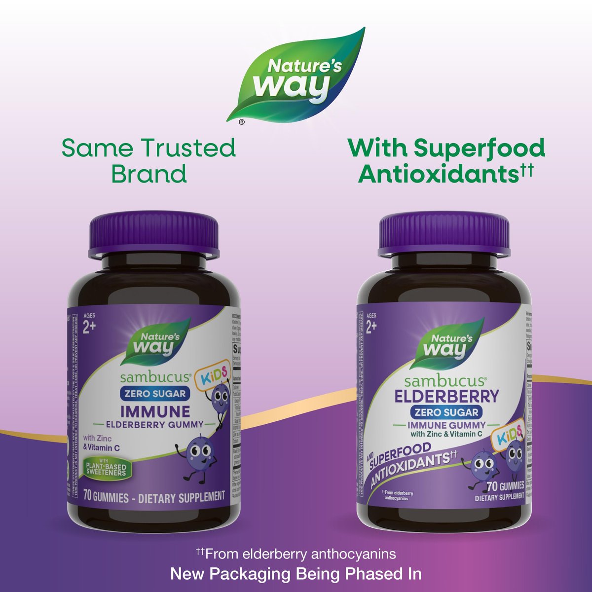 Nature's Way Sambucus Zero Sugar Immun-Gummis für Kinder - Holunder, Vitamin C, Zink, 70 Stück