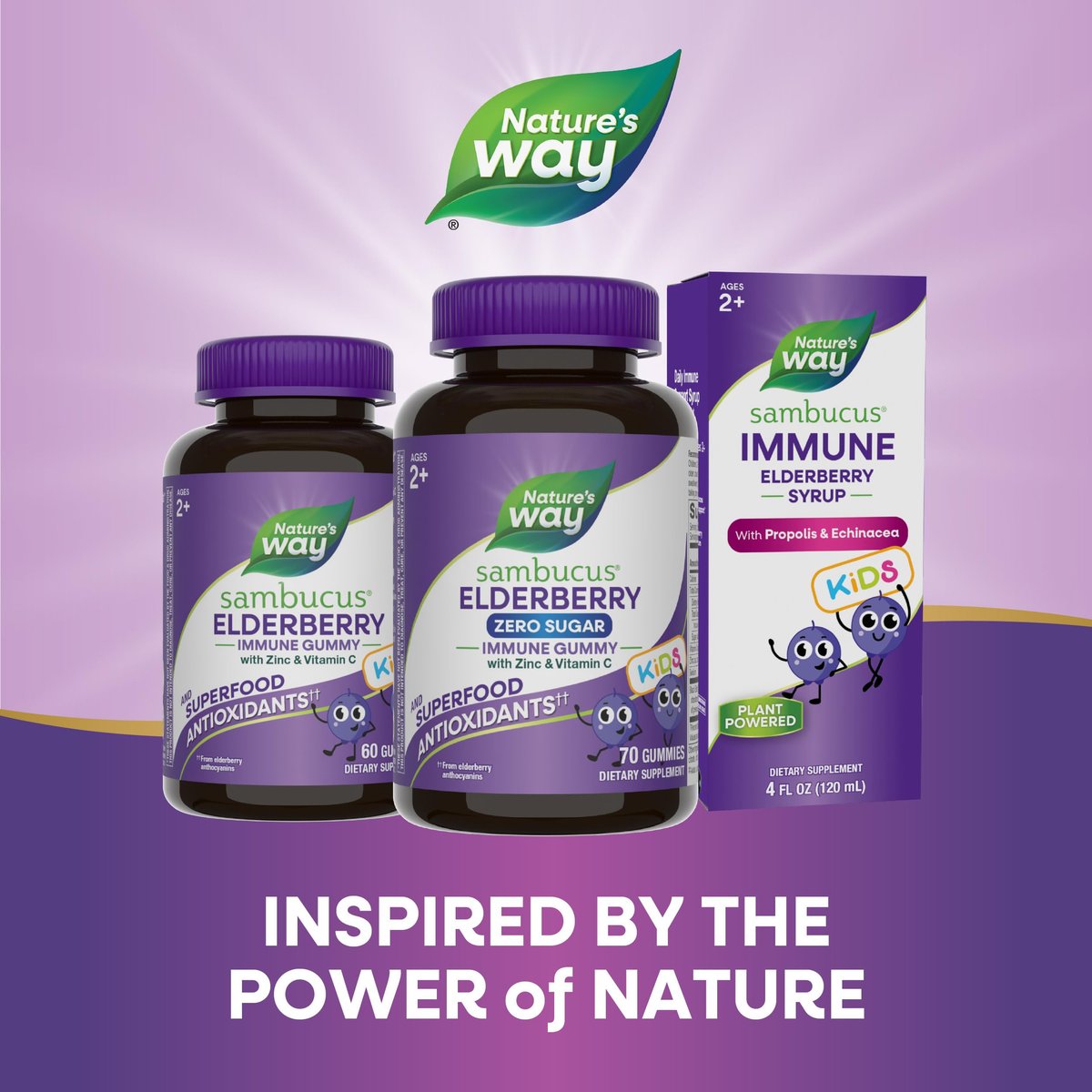 Nature's Way Sambucus Zero Sugar Immun-Gummis für Kinder - Holunder, Vitamin C, Zink, 70 Stück
