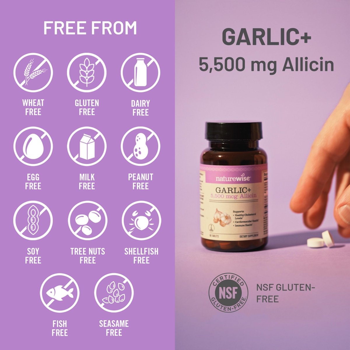 NatureWise Knoblauch Extrakt 5.500 mcg Allicin – Vegan, magensaftresistente Tabletten mit Vitamin B & C, 60 Stück (30-Tage-Vorrat)
