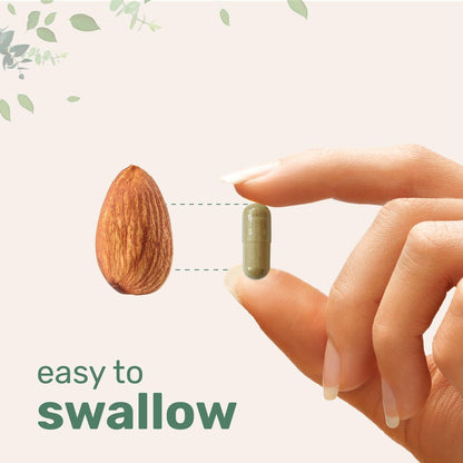 Micro Ingredients Resveratrol NAD Komplex 3.000 mg für Frauen und Männer, 240 vegane Kapseln | NMN Nahrungsergänzungsalternative | 11-in-1 Formel mit NAD+, Quercetin, Moringa, Berberin, Traubenkern & Oregano