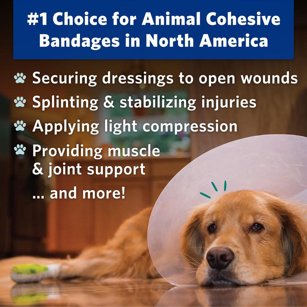 OVIK Health PetFlex Paw Pack – Flexible selbsthaftende elastische Bandage für die Wundversorgung – Erste-Hilfe-Wickel für Kleintiere wie Hunde, Katzen und andere Haustiere – 2 Zoll, 2 Rollen