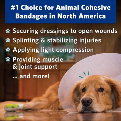 OVIK Health PetFlex Paw Pack – Flexible selbsthaftende elastische Bandage für die Wundversorgung – Erste-Hilfe-Wickel für Kleintiere wie Hunde, Katzen und andere Haustiere – 2 Zoll, 2 Rollen