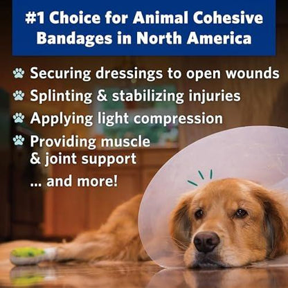 OVIK Health PetFlex Paw Pack – Flexible selbsthaftende elastische Bandage für die Wundversorgung – Erste-Hilfe-Wickel für Kleintiere wie Hunde, Katzen und andere Haustiere – 2 Zoll, 2 Rollen