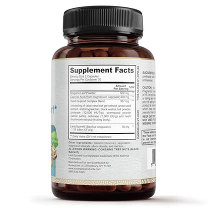 Premium Candida Cleanse Supplement – Candida Support mit Oregano, Caprylsäure, Schwarznuss & Probiotika – Unterstützt Darmgesundheit, Verdauung & Darmflora - 60 Kapseln