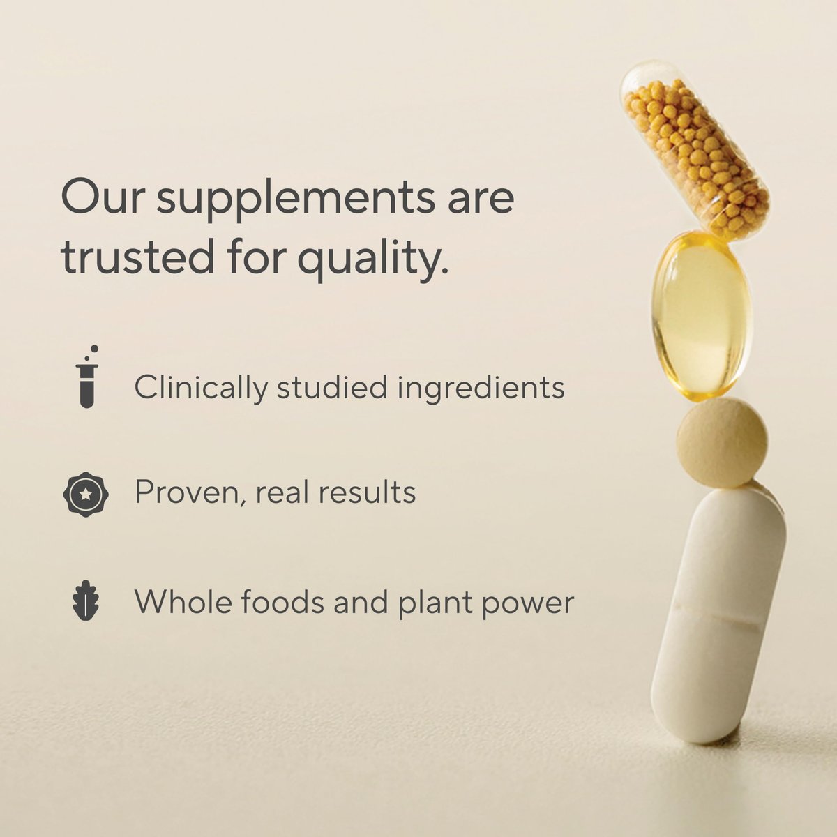 Premium Candida Cleanse Supplement – Candida Support mit Oregano, Caprylsäure, Schwarznuss & Probiotika – Unterstützt Darmgesundheit, Verdauung & Darmflora - 60 Kapseln