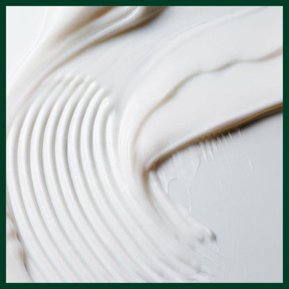 Aveda Scalp Solutions Feuchtigkeitsspendende Kopfhaut- und Haarmaske | 77% sofortige Wiederherstellung der Kopfhaut-Feuchtigkeitsbarriere* | Für alle Haartypen | Veganes Squalan | Silikonfrei | 97% natürlichen Ursprungs*, 150 ml