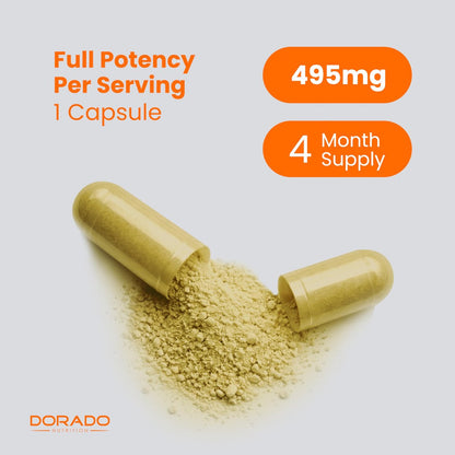 Turmeric Curcumin Komplex mit Schwarzem Pfeffer, Ingwer, Moringa – 95% Curcuminoide, Laborgeprüft, Non-GMO, Glutenfrei – Hergestellt in den USA – 120 Kapseln