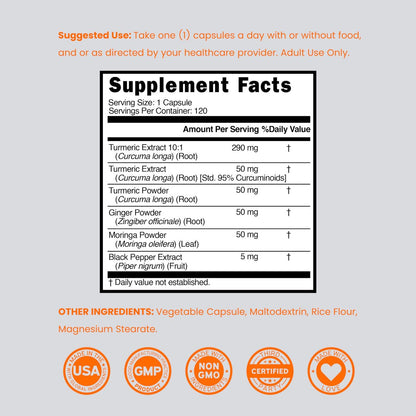 Turmeric Curcumin Komplex mit Schwarzem Pfeffer, Ingwer, Moringa – 95% Curcuminoide, Laborgeprüft, Non-GMO, Glutenfrei – Hergestellt in den USA – 120 Kapseln