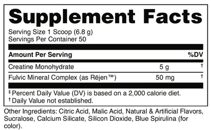 Bucked Up Blue Raspberry Creatin für Männer und Frauen – Leicht zu mischen, vegetarisch, aromatisiertes Creatin-Monohydrat-Pulver – Hergestellt in den USA – 5 g pro Portion – 50 Portionen – 250 Gramm pro Behälter