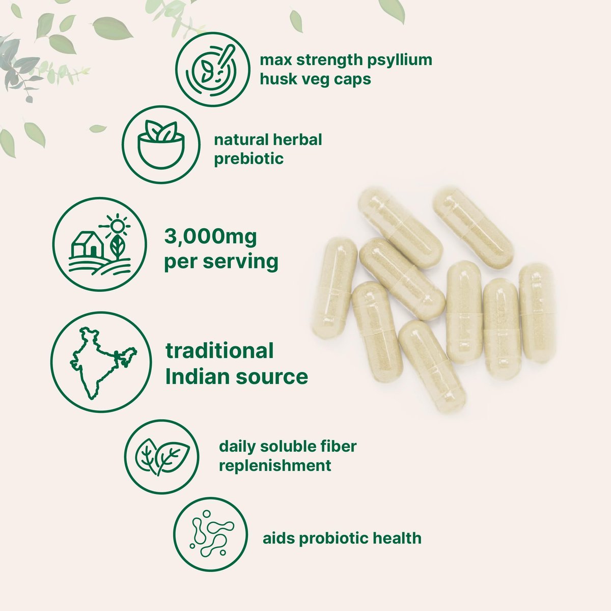 Micro Ingredients Psyllium Husk Kapseln 3000mg, 500 vegane Kapseln | Löslicher Ballaststoff für Frauen & Männer | Natürliche Präbiotika & Probiotika für Darm- und Verdauungsgesundheit | Non-GMO