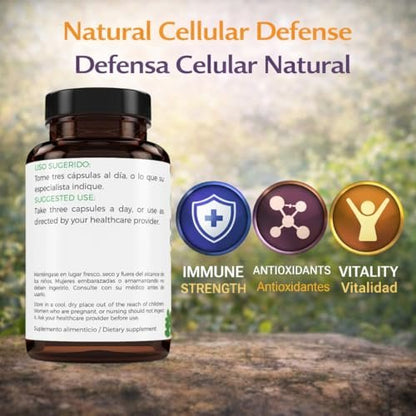 Moringa, Guanabana & Curcuma – 90 Kapseln, 1500 mg pro Portion, kraftvolle Mischung aus 100% natürlichen Premium-Zutaten, biologisch angebaut