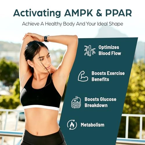 Corpofuerte Liposomales Berberin – Berberin Supplement aktiviert AMPK, unterstützt das Körpergleichgewicht bei Frauen und Männern – fördert Immunfunktion, Darmfunktion, Non-GMO, zuckerfrei, 60 Softgels