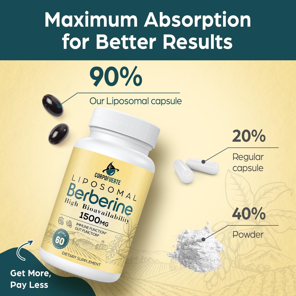 Corpofuerte Liposomales Berberin – Berberin Supplement aktiviert AMPK, unterstützt das Körpergleichgewicht bei Frauen und Männern – fördert Immunfunktion, Darmfunktion, Non-GMO, zuckerfrei, 60 Softgels