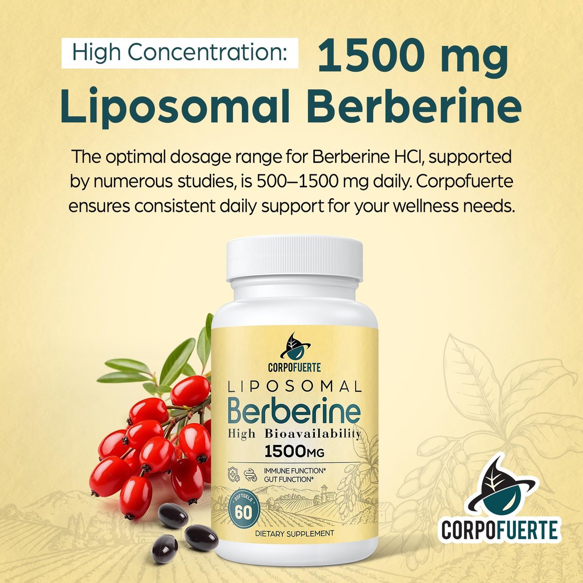 Corpofuerte Liposomales Berberin – Berberin Supplement aktiviert AMPK, unterstützt das Körpergleichgewicht bei Frauen und Männern – fördert Immunfunktion, Darmfunktion, Non-GMO, zuckerfrei, 60 Softgels