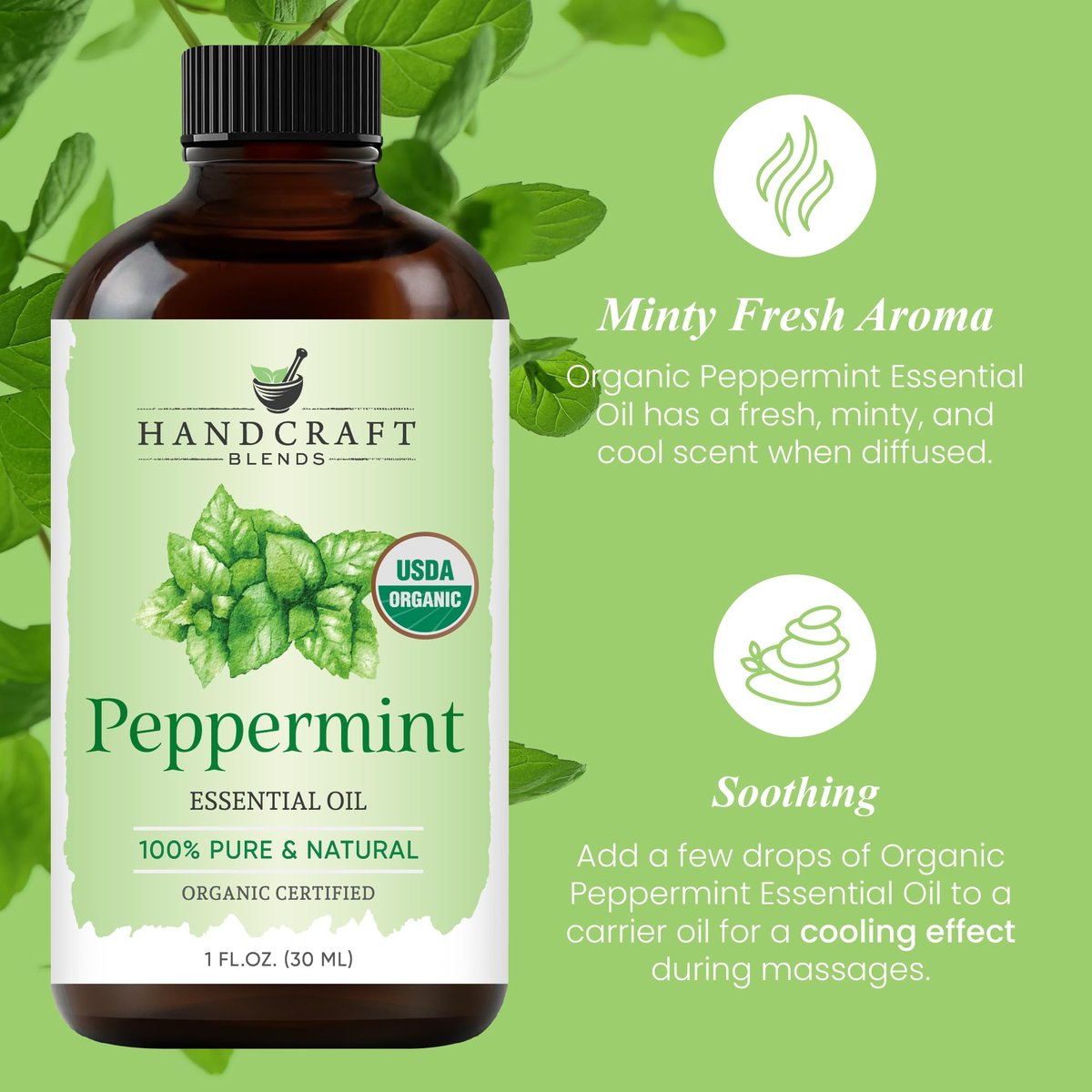 Handcraft Blends Bio Pfefferminz Öl – 30 ml – 100% rein und natürlich – Premium-Öl für Diffuser und Aromatherapie