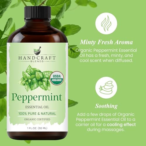 Handcraft Blends Bio Pfefferminz Öl – 30 ml – 100% rein und natürlich – Premium-Öl für Diffuser und Aromatherapie