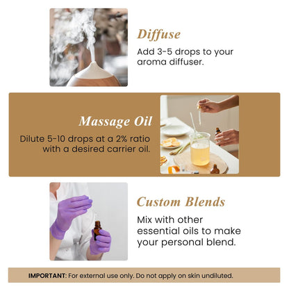 Handcraft Blends Bio Weihrauch Ätherisches Öl – 30 ml – 100% Rein und Natürlich – Premium Qualität für Diffuser und Aromatherapie