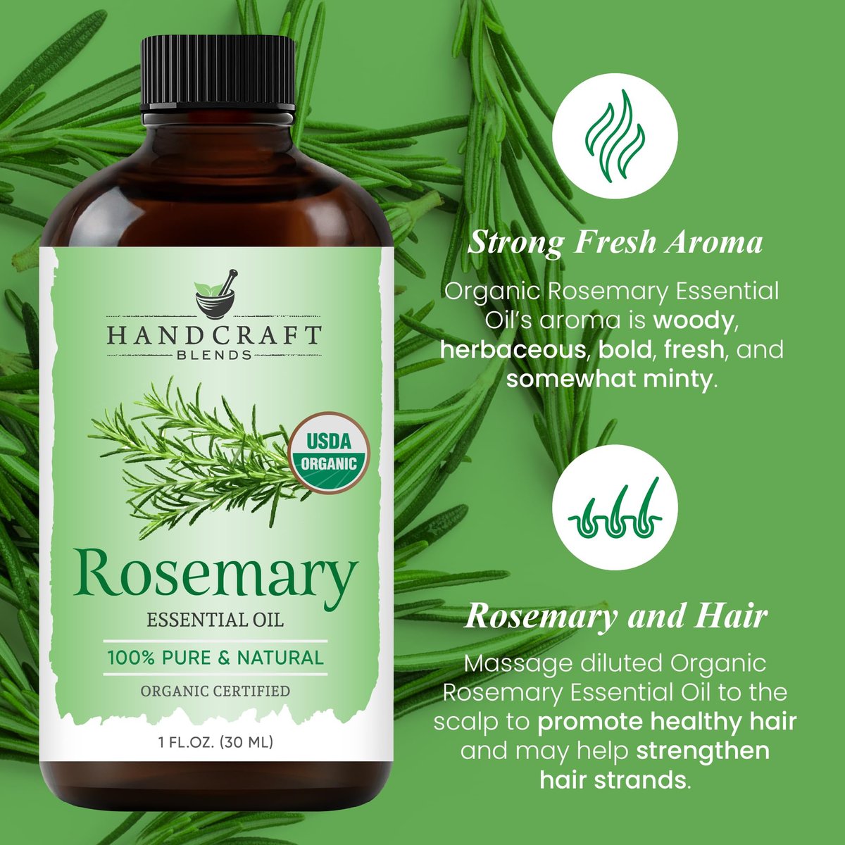 Handcraft Blends Bio Rosmarinöl – 30 ml – 100% rein und natürlich – Hochwertiges ätherisches Öl für Diffuser und Aromatherapie