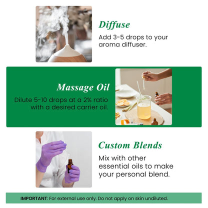 Handcraft Blends Bio Rosmarinöl – 30 ml – 100% rein und natürlich – Hochwertiges ätherisches Öl für Diffuser und Aromatherapie