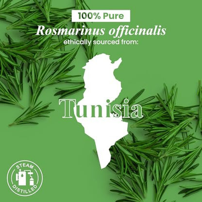 Handcraft Blends Bio Rosmarinöl – 30 ml – 100% rein und natürlich – Hochwertiges ätherisches Öl für Diffuser und Aromatherapie