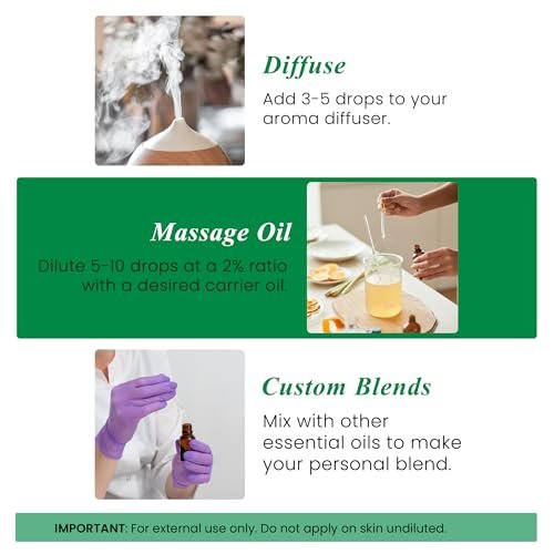 Handcraft Blends Bio Rosmarinöl – 30 ml – 100% rein und natürlich – Hochwertiges ätherisches Öl für Diffuser und Aromatherapie