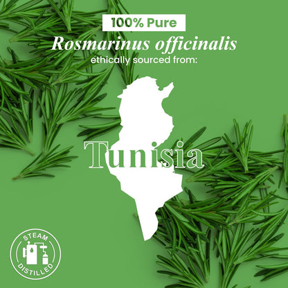 Handcraft Blends Bio Rosmarinöl – 30 ml – 100% rein und natürlich – Hochwertiges ätherisches Öl für Diffuser und Aromatherapie