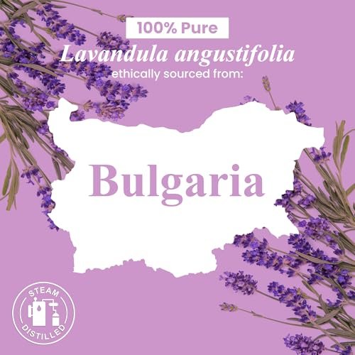 Handcraft Blends Bio Lavendelöl – 30 ml – 100% rein und natürlich – Premium-Öl für Diffuser und Aromatherapie