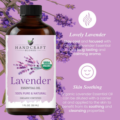 Handcraft Blends Bio Lavendelöl – 30 ml – 100% rein und natürlich – Premium-Öl für Diffuser und Aromatherapie