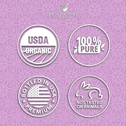 Handcraft Blends Bio Lavendelöl – 30 ml – 100% rein und natürlich – Premium-Öl für Diffuser und Aromatherapie