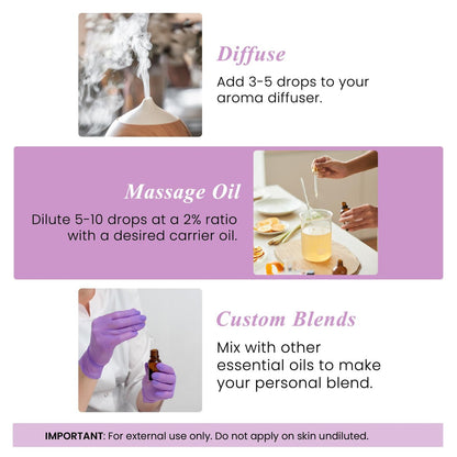 Handcraft Blends Bio Lavendelöl – 30 ml – 100% rein und natürlich – Premium-Öl für Diffuser und Aromatherapie