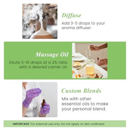 Handcraft Blends Bio Teebaumöl – 30 ml – 100% rein und natürlich – Premium-Qualität ätherisches Öl für Diffuser und Aromatherapie